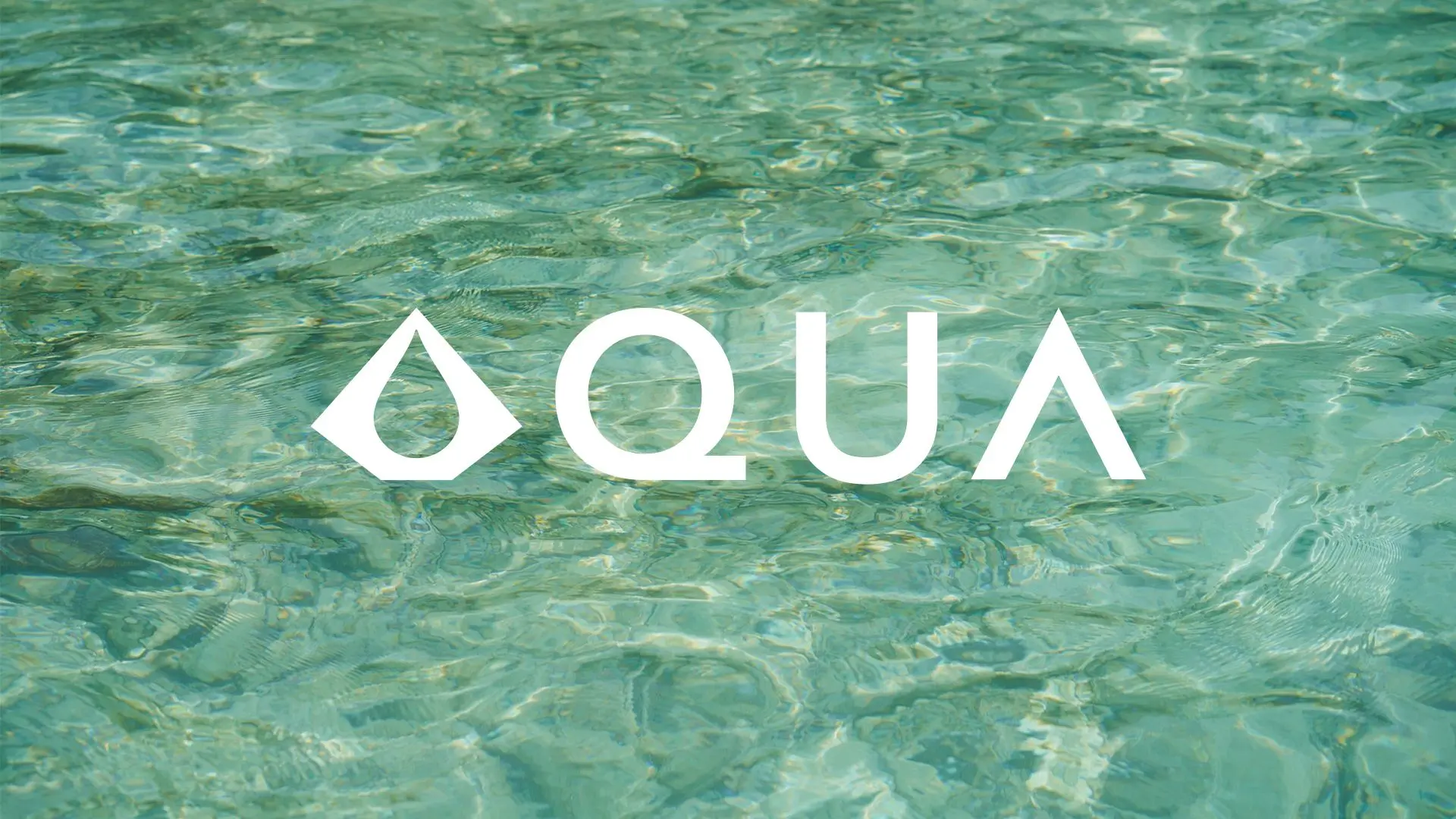 AQUA Wallet - Our Review of the Product