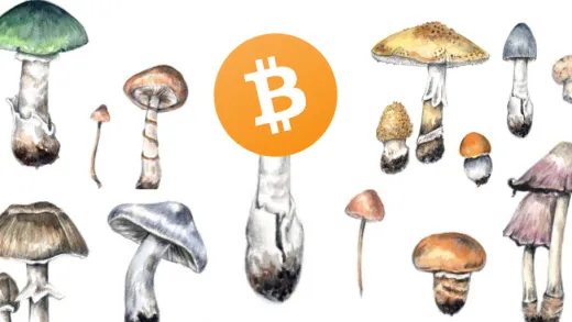 Bitcoin er mycelet av penger