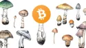 Bitcoin er mycelet av penger