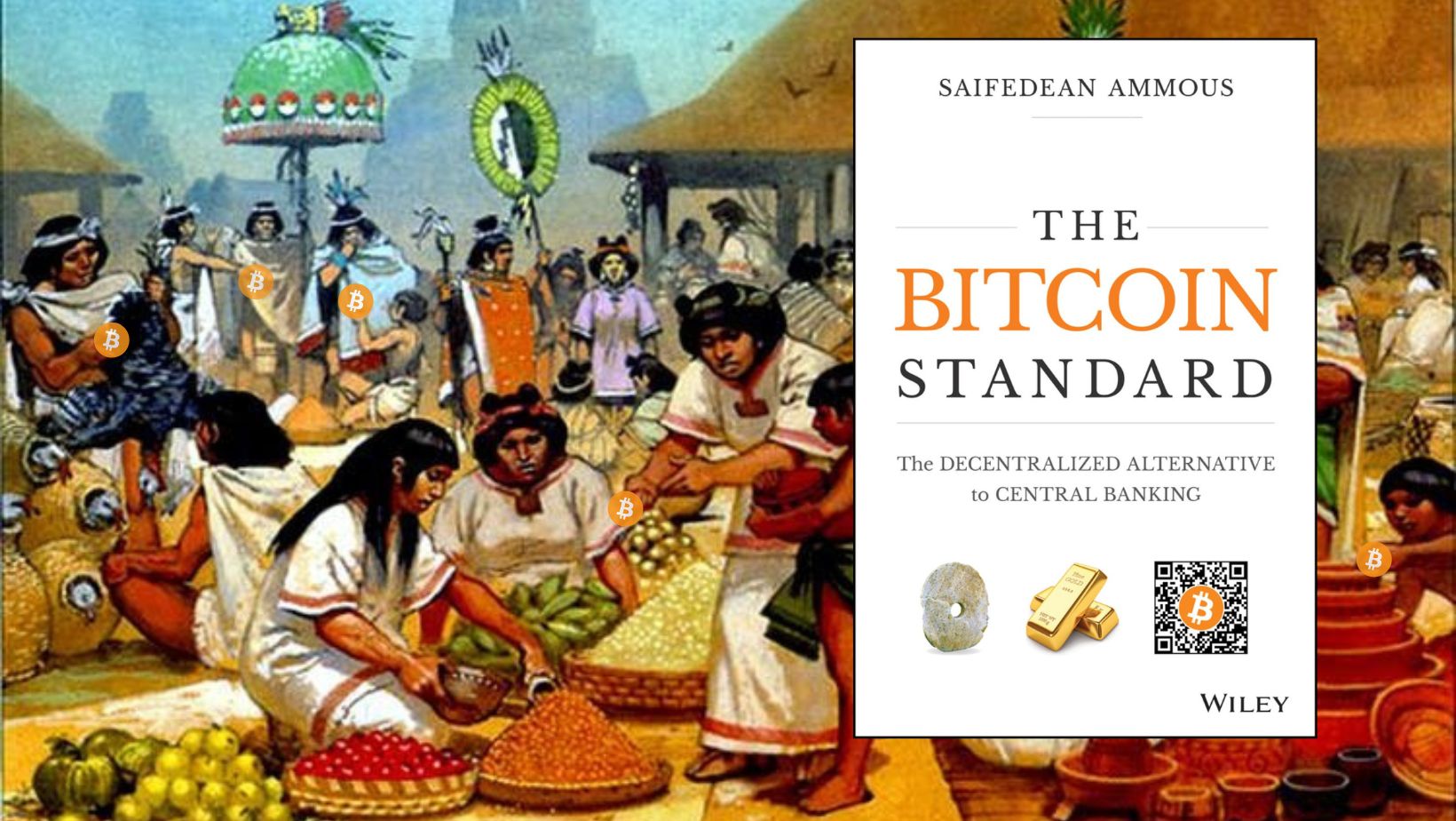 The Bitcoin Standard | Bitcoin Books